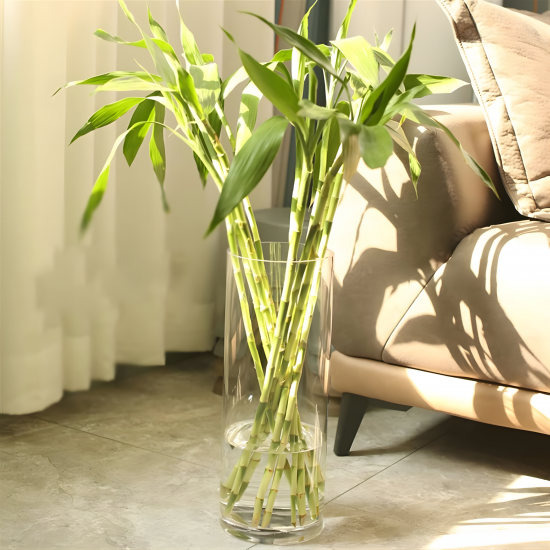 Glass Vase Medium